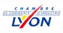 http://www.lyon.cci.fr